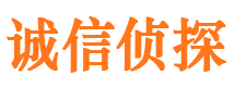 文昌市调查公司